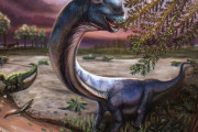 韓国人「象9頭分の重さ」タイで発見された超大型恐竜の化石が『新種』と判明し話題に
