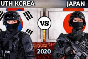 【海外】「日本を侮ってはいけない」軍事力比較 「日本 VS 韓国」に海外も興味津々！