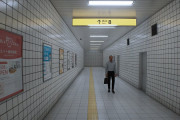 韓国人「最近日本で話題の地下鉄の駅がこちら…ﾌﾞﾙﾌﾞﾙ」