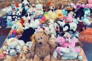 壁の中から大量のぬいぐるみを発見！いったい何のために？