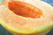海外「日本の食べ物はどれも美味しい！」日本の高級フルーツ、夕張メロンの栽培と競りを紹介した動画を見た海外の反応