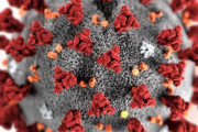 日本政府「アビガン、コロナ治療剤として早急に承認すべき」→韓国人「日本人が飲んで応援して下さい」　韓国の反応