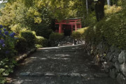【京都】善峯寺というお寺さんの風情が美しすぎると海外で話題に　海外の反応　←初めて聞いたお寺さんだわ