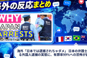 海外「日本では逮捕されちゃダメ」 日本の弁護士が語る外国人逮捕の実態に、有罪率99%への恐怖が拡散