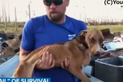 ハリケーン「ドリアン」発生から約１ヶ月、瓦礫の下から子犬が奇跡的に発見、救助されミラクルと名付けられる