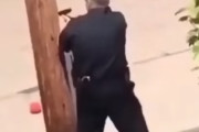 ？？「ヨォ！」警察官と容疑者が一触即発の映像に猫さんが映り込み海外で話題に