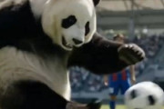 中国人「サッカー、鈴木彩艶が神になった」　中国人「世界トップ5のGK」「選手の失敗を許容しないといけない」