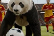 中国人「サッカー日本代表の森保監督の手腕を、中国のサッカーファンとして見るとどうなるか」　中国人「日本代表のファンは幸せ」「55位から17位まで引き上げた」