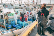 海外の反応：「反中のガス抜きかな？」中国が徐々に日本の水産物輸入再開を発表