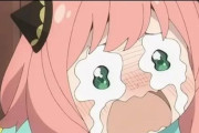 外国人「素晴らしいアニメなのに何故か2期がない作品といえば何？」