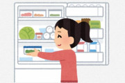 海外「びっくりした」「面白いトピック」外国人が日本の家庭の冷蔵庫の中身を見て思うことは