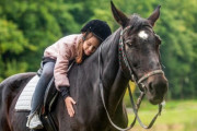 【海外】人間のような行動をする馬たちの感動ストーリー10選！あなたの心を打つ絆の物語