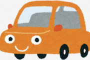 海外「すごく賢い」「日本でないと役に立たない」世界各国の車の運転事情