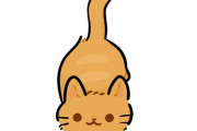 海外のパパ「娘に子猫の世話を頼まれた、無事かどうか聞かれたので…この写真を送った！」