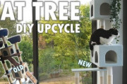 国際カップルが猫ちゃんたちの為にキャットタワーをDIY！！外国人「古い物からリサイクルして作ってるのが素敵！」