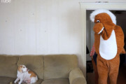馬のコスプレをして愛犬に仕掛けたドッキリ大作戦。ワンコはどんな反応をする？