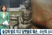 韓国人「日本人の血が流れているのか？」65歳男性が慰安婦像を数回蹴り飛ばし、タバコの火を押し付け警察が逮捕！　韓国の反応