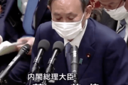 【中国の反応】“全集中の呼吸”で答弁する菅首相「二次元国家めw」「絶対麻生太郎の入れ知恵だから」