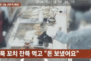 「常連の正体がこれかよ…」おでん100回通いの裏で“偽送金80回”発覚に韓国ネット呆然