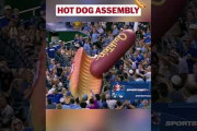 MLBスタジアムが巨大ホットドッグに沸いた瞬間に全米騒然！←「だから野球を見に行くんだ」（海外の反応）