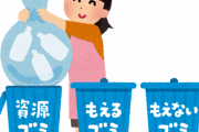 海外「日本人は礼儀正しいっていうけどさ」暮らしてみて目につく日本の嫌な所は？
