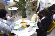 中国・瀋陽市に赤ちゃんアルパカと触れ合えるカフェがあると話題