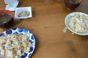 韓国人「大阪での食体験が忘れられない…串カツや焼き鳥の奥深さ、日本ならではの味の魅力を実感した日」