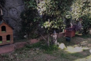 猫にビッグサプライズ！飼い主さんが７部屋寝床がある猫用のお家を自作してプレゼント