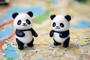 中国人「日本の関東地方の地図を見て驚いたこと」　中国人「晴れていれば東京からも見える」「東京にあったら東京山だな」