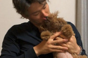 【海外の反応】山本由伸が愛犬みかんを披露【MLB】