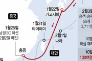 【韓国の反応】日本のクルーズ船の感染者、新たに60人あまりを確認…計130人あまりに