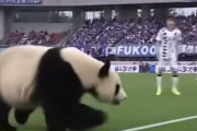 中国人「サッカーU23アジアカップ決勝、0対4という結果より絶望したこと」　中国人「日本は別格」「今回は嬉しい誤算」