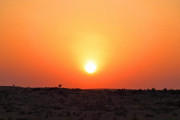 海外「日本が日の出ずる処なら、日の沈む処はどこなんだ？」