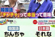 [韓国の反応]日本の女子高生の間で「ちんちゃそれな」が流行らしいですが本当ですか？「韓国ネット民」私たちもインターネットが普及し始めた当初に日本語を混ぜて使うのが流行りましたからね