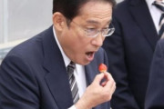 【韓国の反応】福島イチゴを食べる岸田首相「汚染水の放流は先送りできない。」韓国の反応「一つの政治SHOWに過ぎない。被害を世界に広めることを考えるのが戦犯国。」