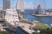横浜で2000匹のアレが大量発生（海外の反応）