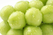 韓国人「初めてシャインマスカット食べたんだけど、日本人が怒るのも分かるわ・・・これマジでおいしいね」→「マジで美味い」「日本が本当にすごい国ではある」