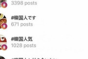 韓国人「日本人が太極旗に土下座！」韓国が好き過ぎて韓国人に成りたい日本人の10代が増加中！　韓国の反応