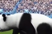 サッカーU23アジアカップ決勝の日本戦について中国選手「オランダのようだった」　中国人「差は確かに大きい」「世界を震撼させてきた大和魂」