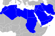【海外の反応】MENA（中東と北アフリカ）の若者はお酒を飲むの？