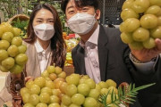 韓国紙「1粒がコーヒー1杯の値段 ... シャインマスカットも真っ青9万ウォンの "黄金ぶどう"」韓国の反応