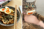 外国人「食べ物泥棒で現行犯逮捕されたペットを晒し上げていく！」