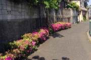 中国人「日本の道が綺麗？それではコチラの写真を御覧ください」　中国の反応