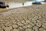 海外「アマゾンで未曾有の大干ばつ」→「熱帯雨林を破壊するからそうなるのでは？」