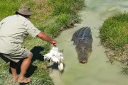 命は大事に！！ヤバ過ぎる動物と遊ぶのが生き甲斐のおじいちゃん！！