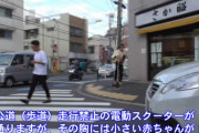 これはアカンでぇ！！！！赤ちゃんを抱いて歩道や公道をキックボードで走るパパさん