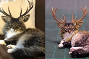 外国人「動物の面白画像を立体化する日本人アーティストが面白い！」