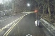 男性が連れていた犬に違和感を感じたバス運転手、犬が盗まれていたことに気づき飼い主に返す（アメリカ）