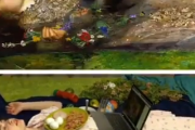 あの名画を実際に再現してみた！日常でもあり得そうな再現度高めなひとコマ。海外の反応
