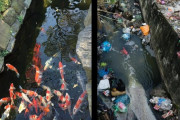 インド人「日本の水源と比較して汚れているのはどっち？」（海外の反応）